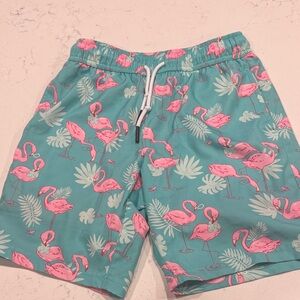 Flamingo Print Teal Boys Shorts